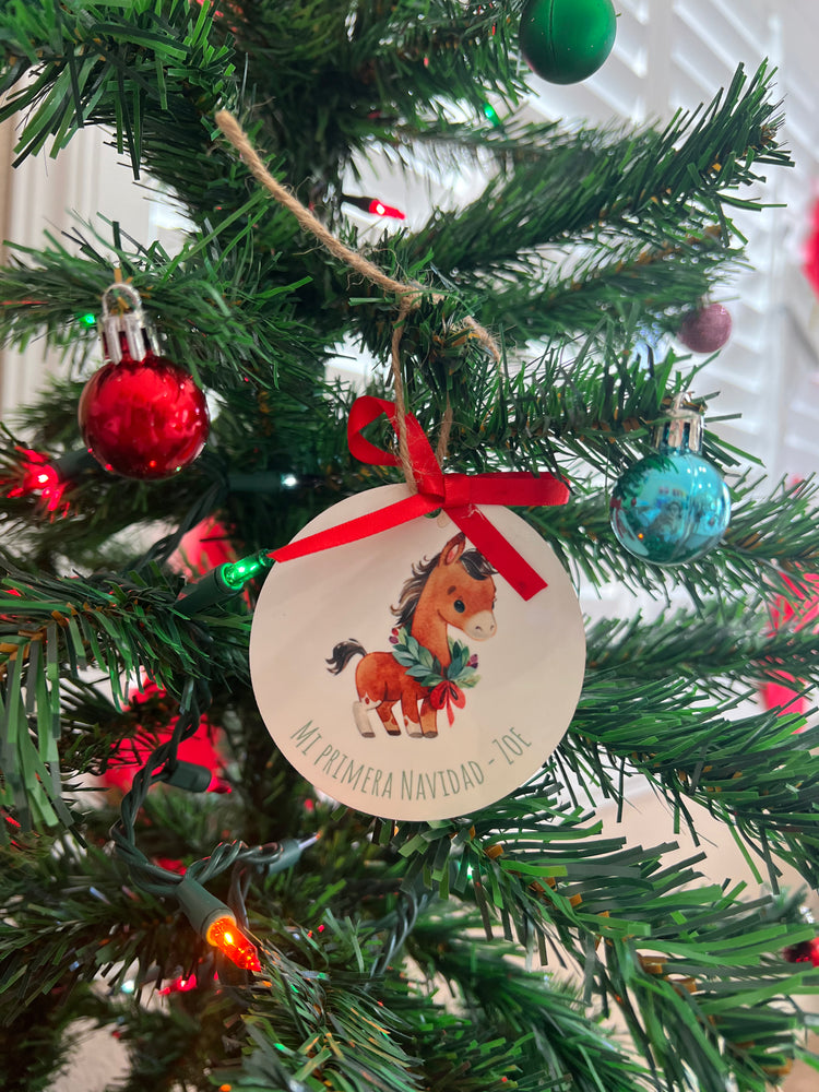 Baby’s first Christmas Ornament