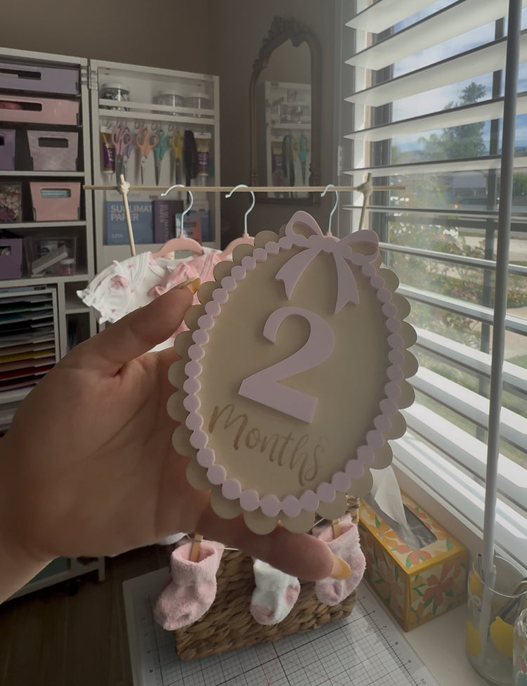 Baby Milestone Discs