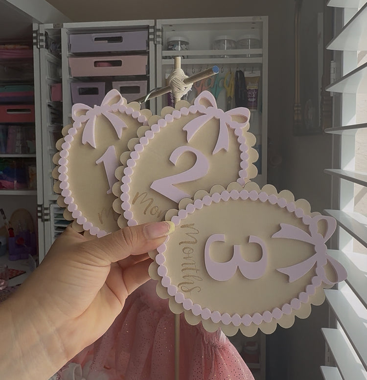 Baby Milestone Discs