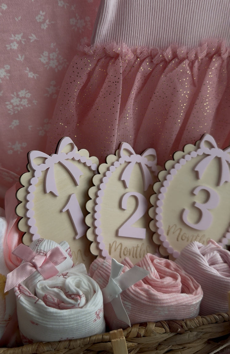 Baby Milestone Discs
