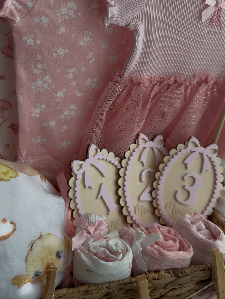 Baby Milestone Discs